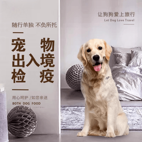 钦州市宠物托运到哥伦比亚猫狗宠物入境规定和
