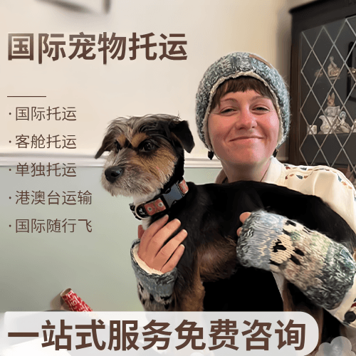 钦州市国际宠物托运到阿根廷宠物入境规定和要