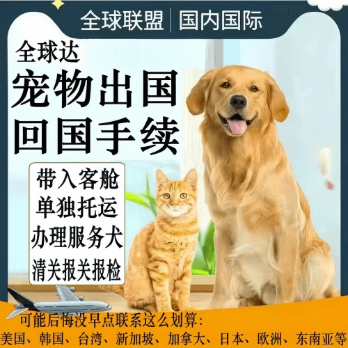 钦州市宠物托运到柬埔寨宠物入境规定和要求