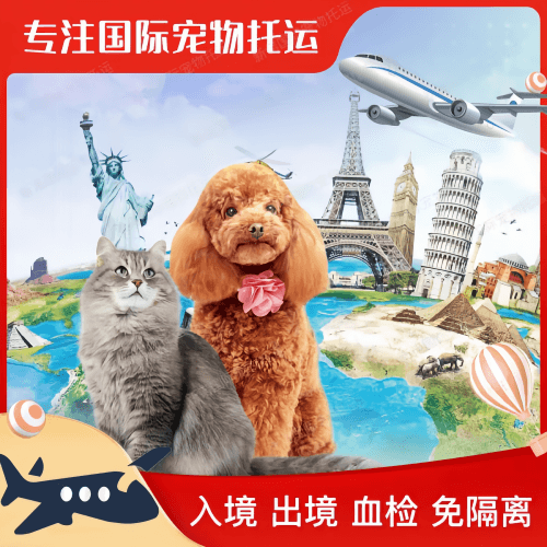 钦州市宠物托运到美国宠物入境最新规定和要求