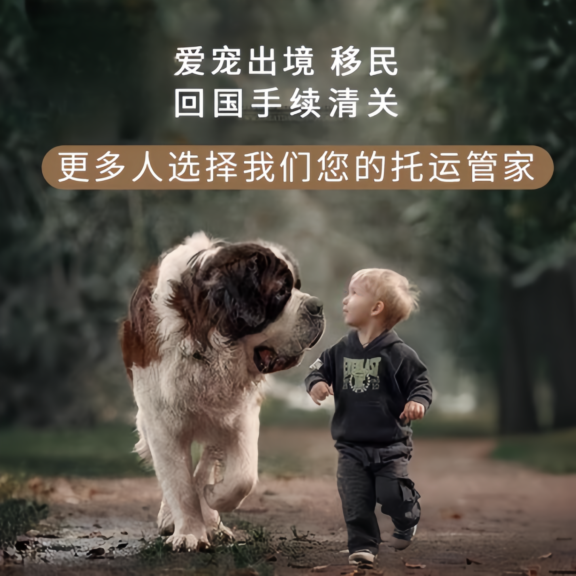 满财钦州市宠物全球达宠物托运在遵守入境目的地政策的条件