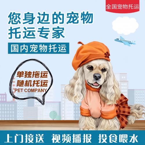 满财钦州市宠物全球达宠物托运作为专业的宠物运输代理机构